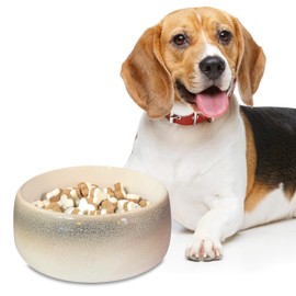 Byer of Maine Pet Bowl – High-Fired Porcelain Stoneware, Food-Grade Safe, Dishwasher Safe, Non-Slip Dog Bowl for Small Breeds in Biscuit