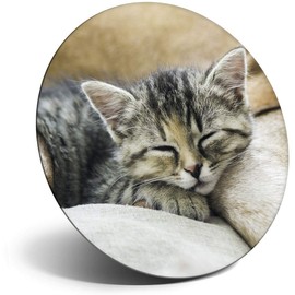Destination Vinyl ltd Magnet for Refrigerator, Fridge - Cute Dog & Kitten Friend Adorable Pets for Office, Cabinet and Whiteboard, Magnetic Stickers, 8713