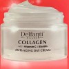 Delfanti-Milano Delfanti Milano Collagen Vitamin C Anti Aging Moisturizer 1.7