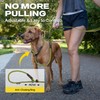 Fida 2-in-1 Slip Leads for Dogs with Double Handles, Tangle