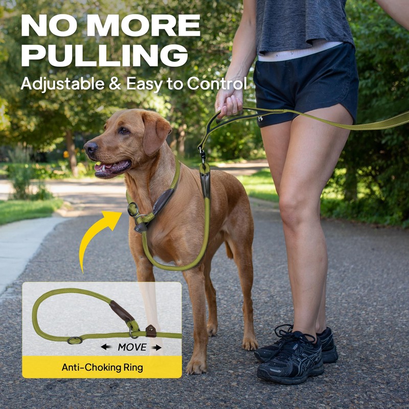 Fida 2-in-1 Slip Leads for Dogs with Double Handles, Tangle