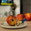 KADAX Apple Corer, Apple Cutter with Stainless Steel Blade, Apple