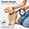 Scout Supply Classic Leather Dog Leash | Strong Heavy Duty