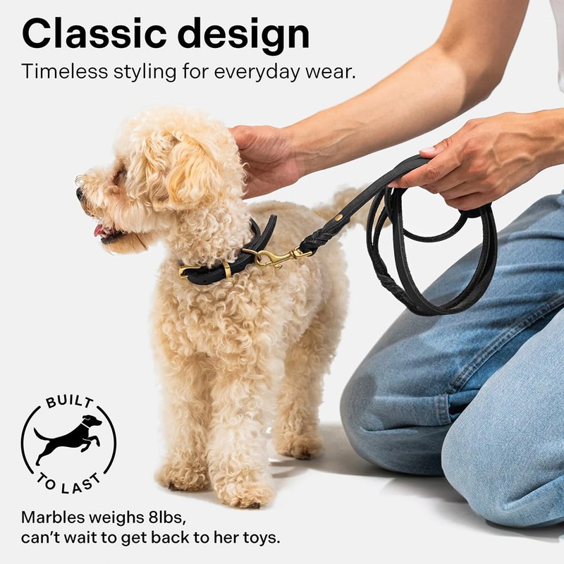 Scout Supply Classic Leather Dog Leash | Strong Heavy Duty
