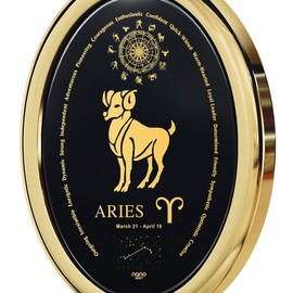 Gold Plated Silver Aries Necklace Zodiac Pendant Gift for Women Birthday Jewelry 21st March to 19th April Gold Inscribed on Onyx, 18" Rolo Chain