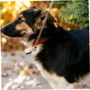 Kisangel 5sets Collar for Dog Bell Metal Dog Collar Accessory