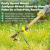 Weed Puller Tool, Stand-Up Weeding Tool with Long Handle,4-Claw Steel
