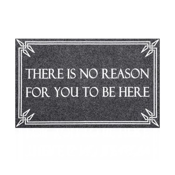Indoor Outdoor Mats for Front Door Mats Funny Entry Welcome