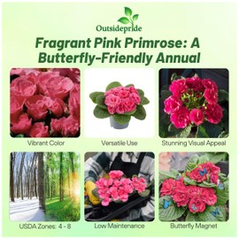 Outsidepride Primlet Pink Shades Common Primrose Seeds - 20 Pcs Annual, Hardy, Easy to Grow & Low Maintenance Flower Seeds for Planting Vibrant Blooms, for Containers, Borders & Erosion Control