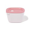 Francfranc Franc Lunch Box, Complete Set of 5, Pink