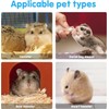 POHOVE Hamster Sand Bath, Hamster Bath, Hamster Bath, Hamster Sand