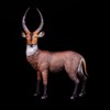 CollectA Waterbuck