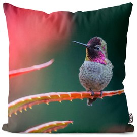 VOID Hummingbird Photo Picture Nature Cushion Cover Polyester Decoration Easter Decorative Cushion Outdoor Garden Cushion Size: 40 x 40 cm