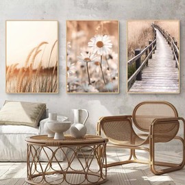 Uixxducc Boho Poster Set Aesthetics Beach Landscape Picture Set, Beige Reed Pampas Wall Pictures Living Room, Beautiful Canvas Picture Wall Decoration for Bedroom without Frame (30 x 40 cm, C)