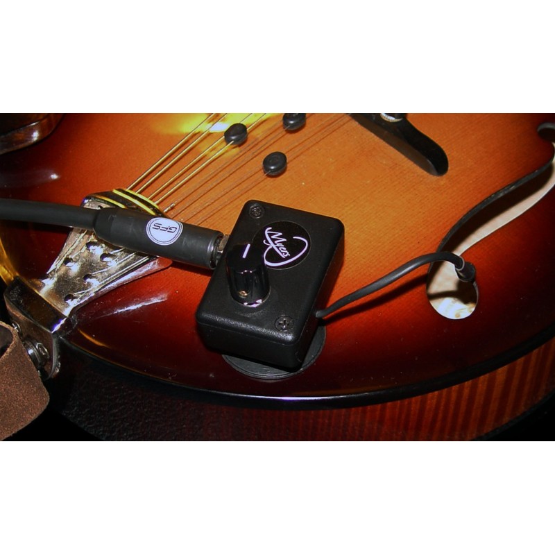 Mandolin Pickup with Flexible Micro-Gooseneck by Myers Pickups