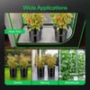 VIVOSUN DWC Hydroponics Grow System with Top Drip Kit, 5-Gallon