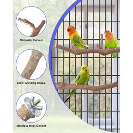 Bissap Bird Perch Stand 7PCS, Natural Grape Wood Pole Standing Parrot Cage Branch Paw Grinding Fork Parakeet Platform Hammock for Conures Budgies Finches Cockatiels Small Birds Exercise Training