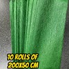 Crepe Paper Metallic 10 Rolls of 79x20 Inches ( Pascua