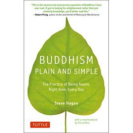 Buddhism Plain and Simple: The Practice of Being Aware Right Now, Every Day