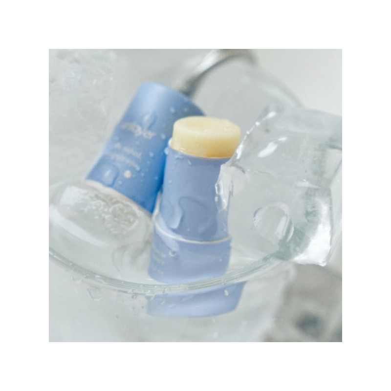 UNLAYER Aewol Lip Balm 6g, Color:03 Camellia