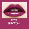 メイベリン Lip Shine Compulsion SPK19 Plum Purple Glossy