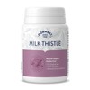 Dorwest Milk Thistle Tablets for Dogs and Cats, 200 Tablets,