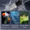 5 W USB Aquarium Heater, Aquarium Temperature Controller with LED