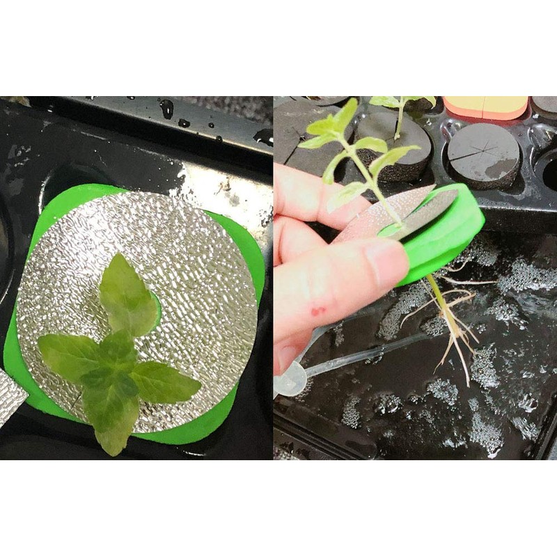 HORTIPOTS 2-Layered Clone Collars w 2 in Net Pots &