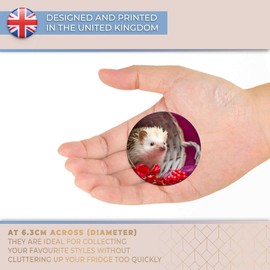 Destination Vinyl ltd Magnet for Refrigerator, Fridge - Cute Baby Hedgehog Pygmy Albino for Office, Cabinet and Whiteboard, Magnetic Stickers, 14360