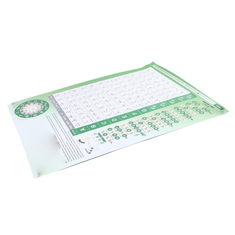 Banjo Chord Chart Feature and Tune Fingering Poster Coated Paper