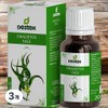 Destech Moisturizing Oil Olive Oil Turkish Eucalyptus Aroma Essential Oil Concentrate Lid Dropper Type Random Delivery 3 Pieces 20ml / 데스텍 모이스처라이징오일 올리브오일 터키 유칼립투스 아로마 에센셜 오일 원액 뚜껑 스포이드 타입 랜덤발송 3개 20ml