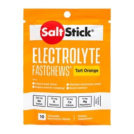 Salt Stick Fastchews