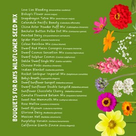 American Meadows Bouquets for Days Wildflower Seed Mix (1 lb) — 28 Varieties of Wildflowers, Bold Colors, Exclusive Mix, Non-GMO, Low Maintenance, Pollinator-Friendly