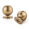 Ravinte Decor 24 Pack Champagne Bronze Cabinet Knobs, Round Dresser