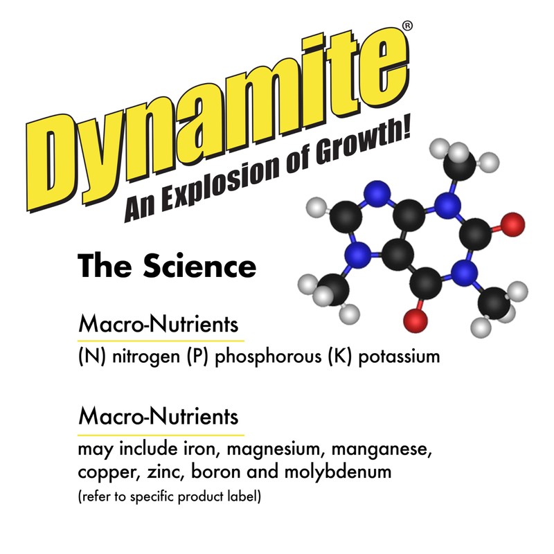 Dynamite Complete Plant Food Flower & Vegetable1 lb