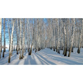 Quiet Time Boutique 1 oz Candle Soap Home Fragrance Oil-Cracklin' Birch