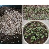 15QT Organic Vermiculite Granules for Plants and Gardening