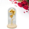 Rose in Glass Dome Lucky Beautiful Symbolism Romantic Enchanted Rose