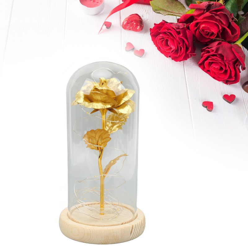 Rose in Glass Dome Lucky Beautiful Symbolism Romantic Enchanted Rose
