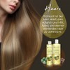 PraNaturals Cold Pressed Castor Oil - 100% Natural Vegan Purity,