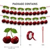 Seyal® Cherry Garland Decoration