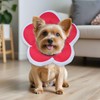 LOVITIANCE Comfortable Adjustable Soft Dog Cone for Small Dogs and