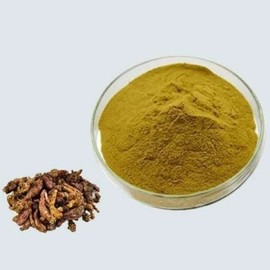 머위추출분말 100g_24860293 Mugwort Extract Powder 100g_24860293