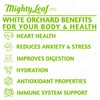 Mighty Leaf White Orchard White Tea – 100 Count Foil-Wrapped