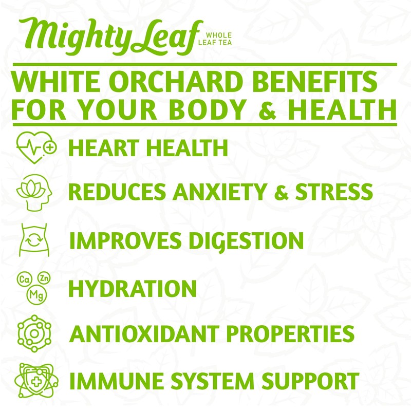 Mighty Leaf White Orchard White Tea – 100 Count Foil-Wrapped