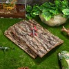 Angoily Cork Bark for Reptiles, Natural Bark for Bearded Lizard