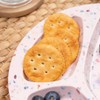 Bzyoo 9-Inch Melamine Divided Plates – 3-Section Portion Control Plates,