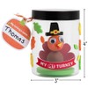 Fun Express PET Turkey in A JAR CK-6 - Craft