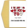 Qiliji Qiliji Dirty Valentine's Day Card for Husband Boyfriend Fiance,