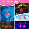 Uekars Solar Pool Chlorine Floater, 7 inch Flamingo Chlorines Floater